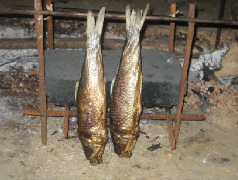 Using of BIO- BRIQUETTING for IGA (Drying of Fish) by Women SHG at Amladkhur Village (on trial basis)